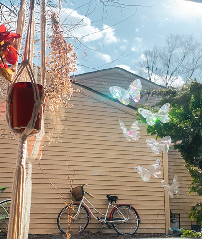 Flying Butterflies Suncatchers | 6 Suncatcher Set