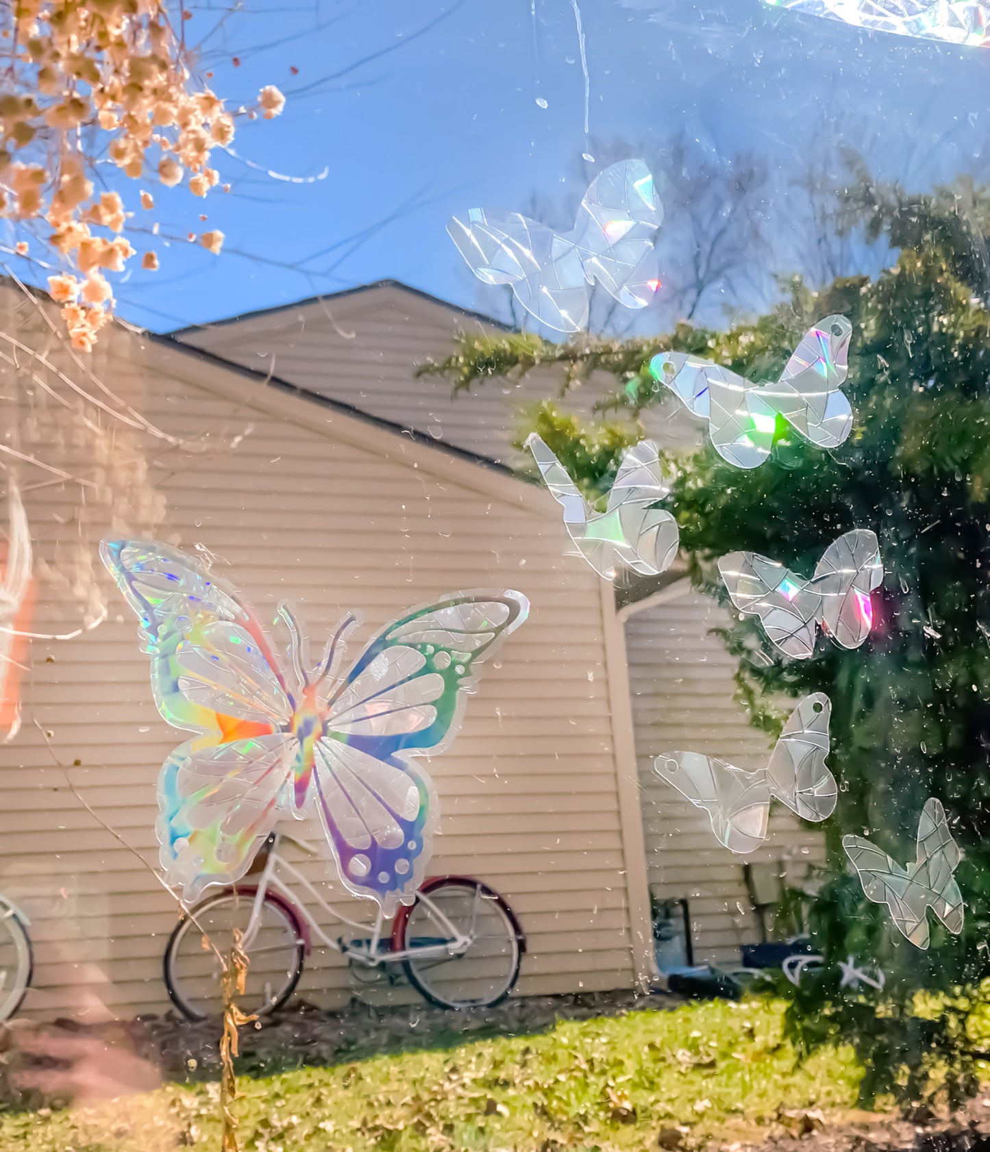 Butterfly Suncatcher Bundle | Flying Butterflies & Butterfly Suncatcher